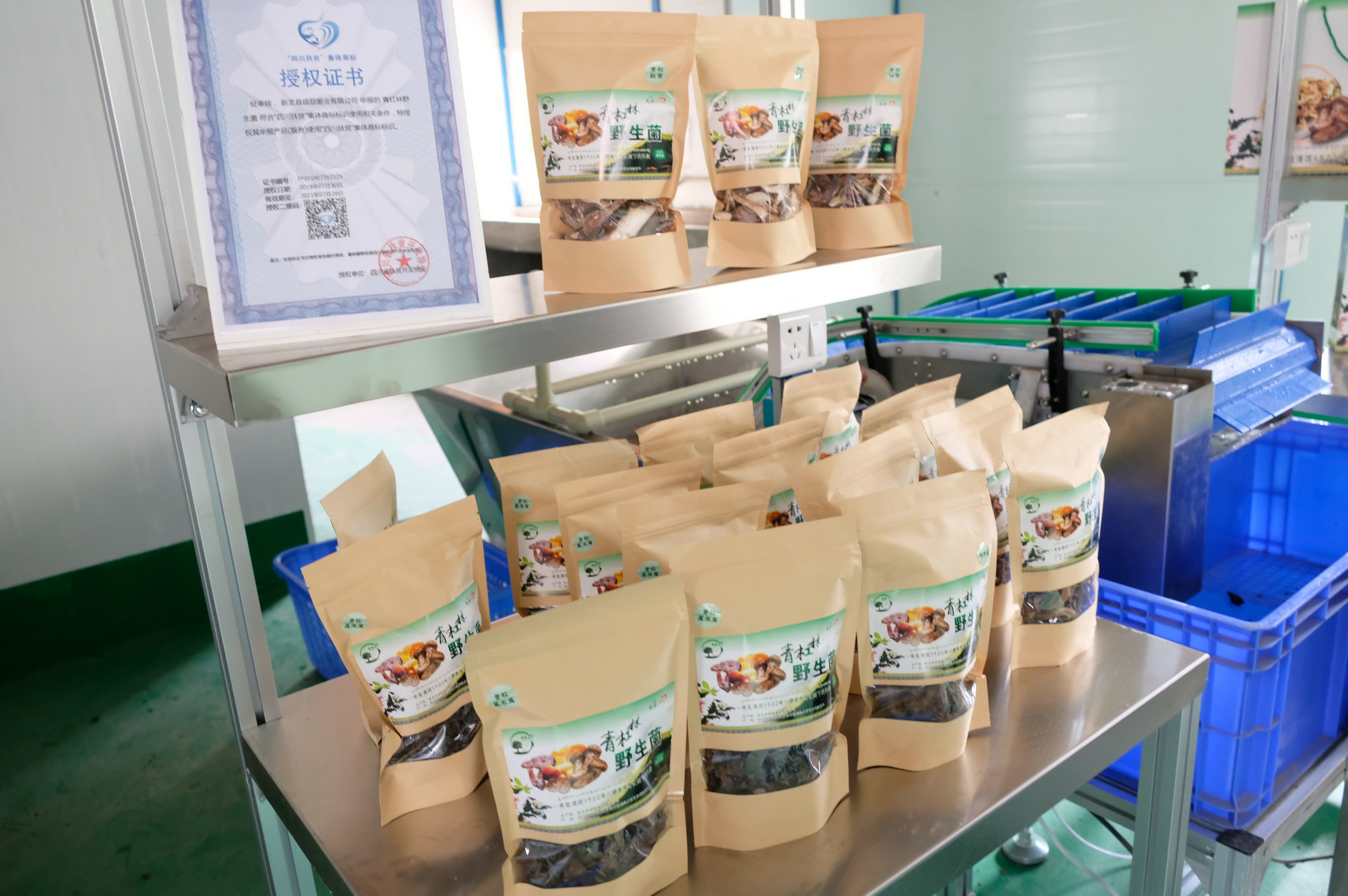 今年会·(中国大陆)认证慈善机构