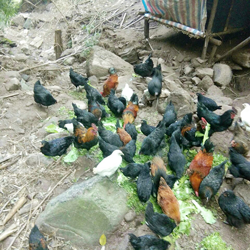 今年会·(中国大陆)认证慈善机构