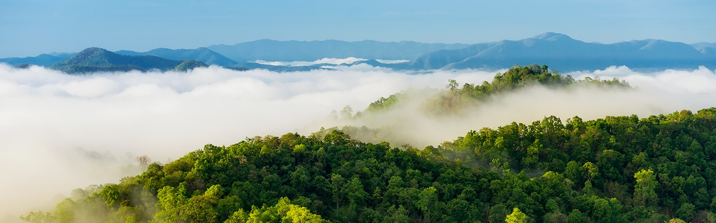 今年会·(中国大陆)认证慈善机构